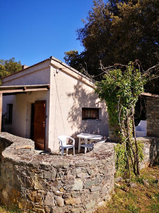 Campita Hotel Omessa Bagian luar foto